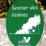 sentier_lis_jalon